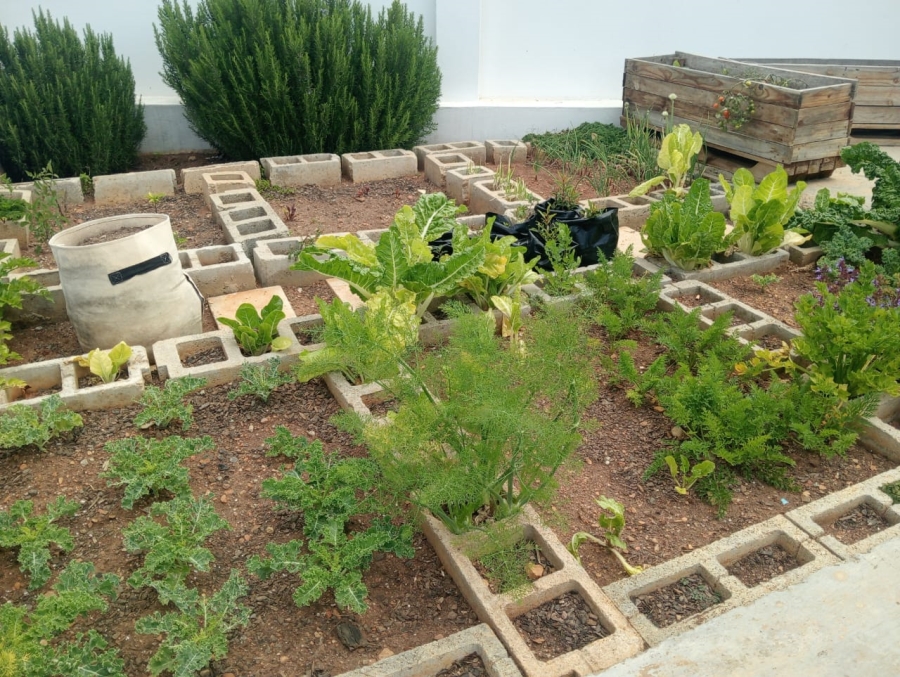 5 Bedroom Property for Sale in Jeffreys Bay Central Eastern Cape